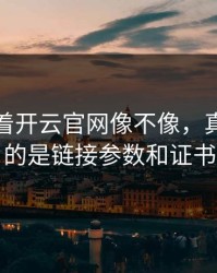别只盯着开云官网像不像，真正要看的是链接参数和证书
