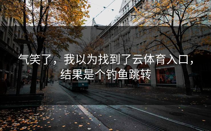 气笑了，我以为找到了云体育入口，结果是个钓鱼跳转