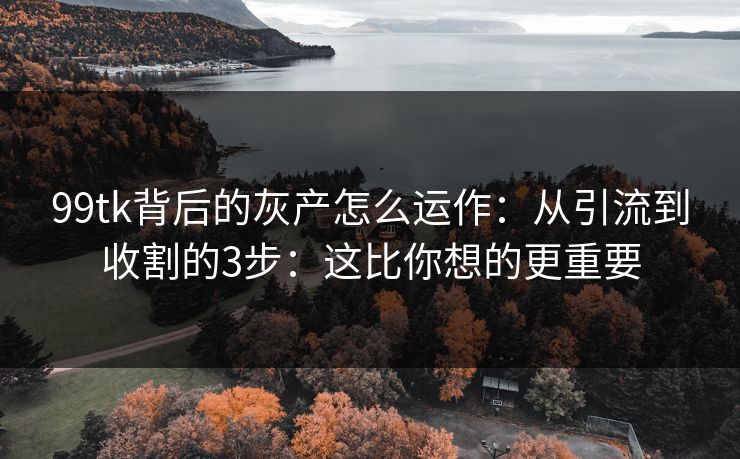 99tk背后的灰产怎么运作：从引流到收割的3步：这比你想的更重要