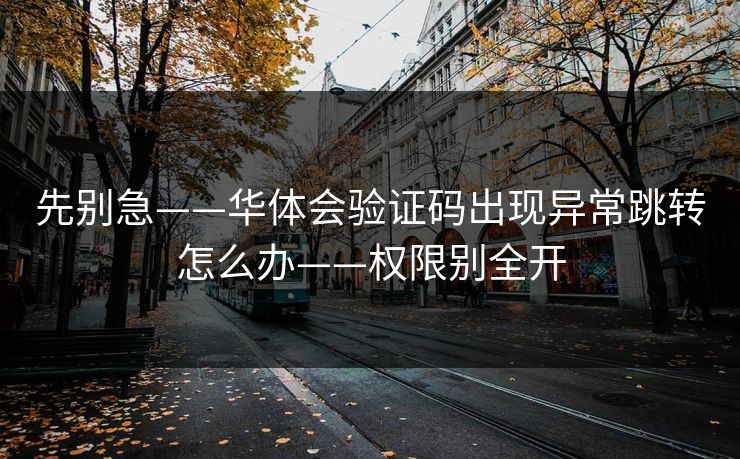 先别急——华体会验证码出现异常跳转怎么办——权限别全开 先别急——华体会验证码出现异常跳转怎么办——权限别全开