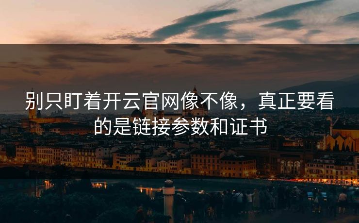 别只盯着开云官网像不像，真正要看的是链接参数和证书
